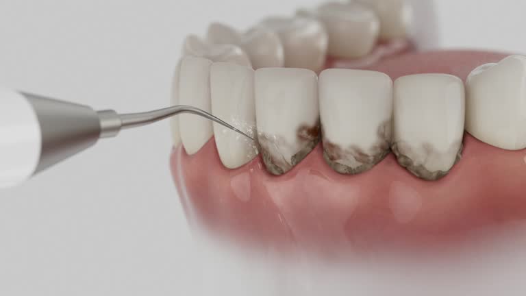Reliable Dental contractor in Albemarle, NC by Dentist Open Now